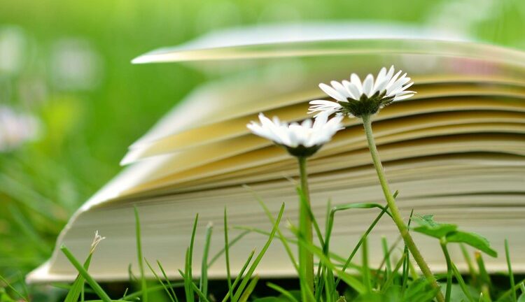 Що таке зелена книга