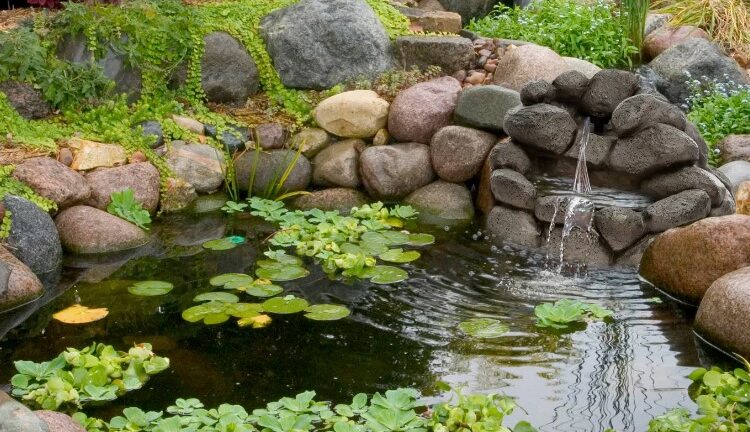 Що таке штучні водойми